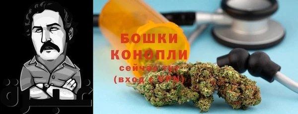 винт Бородино