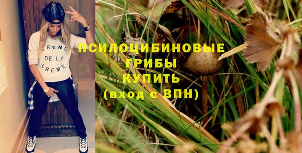 гидра Бугульма