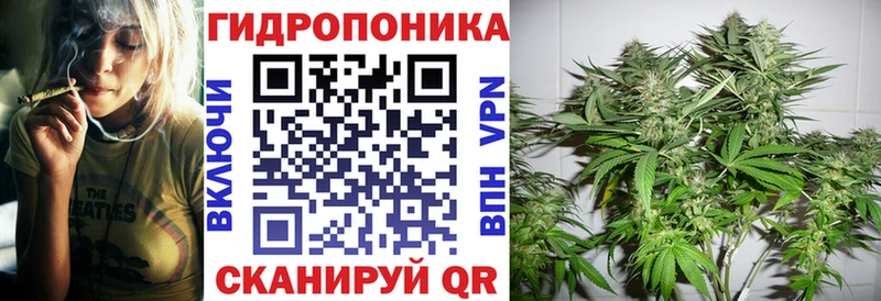 маркетплейс формула  Жуковка  Бошки марихуана семена 